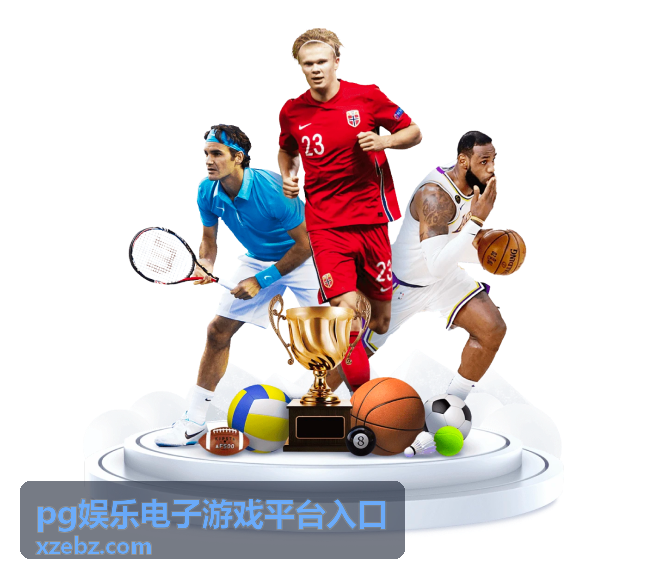 PG娱乐电子游戏平台对比条目缩略图