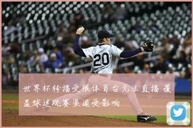 世界杯转播受限体育台无法直播 覆盖球迷观赛渠道受影响