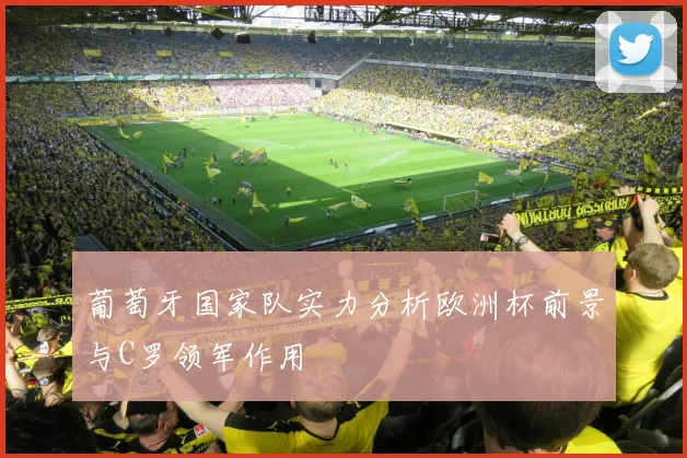 葡萄牙国家队实力分析欧洲杯前景与C罗领军作用