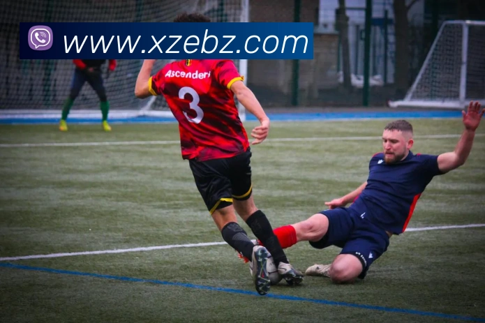 加拿大官方网站平台生态图