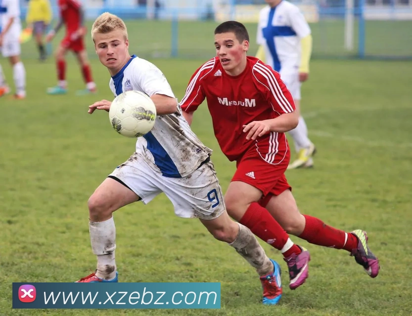 加拿大官方网站APP 封面图